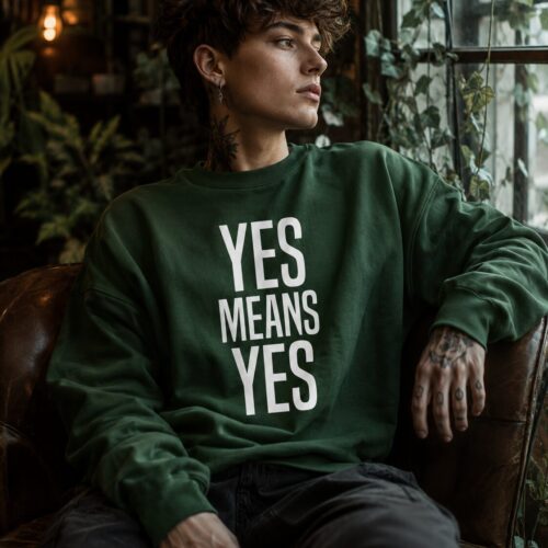 Yes Means Yes Unisex-Premium-Pullover – Pullover – SHiiRTS